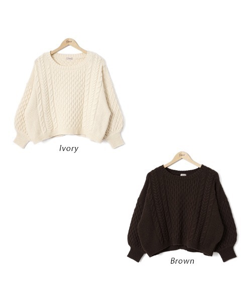 flower(フラワー)の「フェミニンバックニット(ニット/セーター・レディース・ブラウン/アイボリー・FREE)」の16枚目の写真