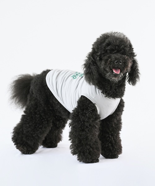 Best Friends（ベストフレンズ）の「Best Friends ベストフレンズ： ASAKARAバーガークールメッシュタンク（ペット