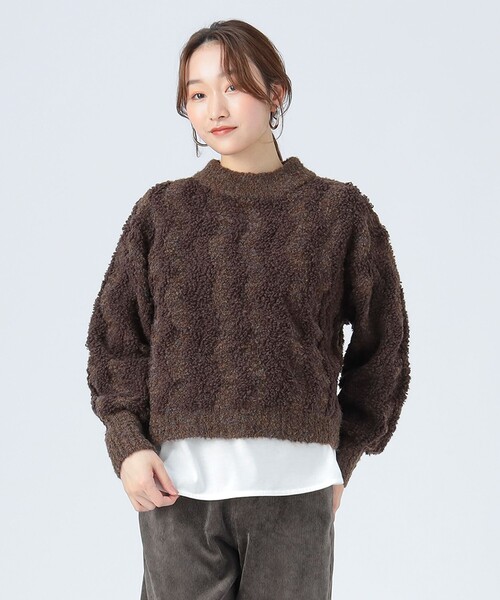 BEAMS HEART(ビームスハート)の「波柄 パイル ニット(ニット/セーター・レディース・ホワイト系その他5/レッド/ブラウン・FREE)」の11枚目の写真