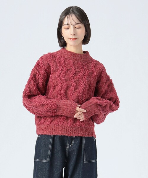 BEAMS HEART(ビームスハート)の「波柄 パイル ニット(ニット/セーター・レディース・ホワイト系その他5/レッド/ブラウン・FREE)」の14枚目の写真