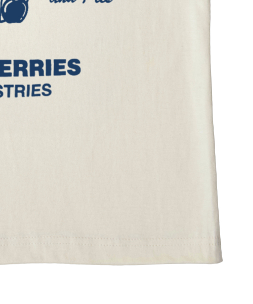 PAPERBOY(ペーパーボーイ)の「チェリーリンガー半袖Tシャツ-ブルー(Tシャツ/カットソー・レディース・その他・SMALL/MEDIUM)」の8枚目の写真