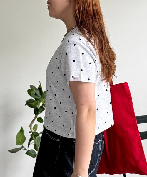 U.S. POLO ASSN.(ユーエスポロアッスン)の「【U.S. POLO ASSN.】アソートクロップドT(Tシャツ/カットソー・レディース・ネイビー/ホワイト/ブラウン/グリーン・FREE)」の10枚目の写真