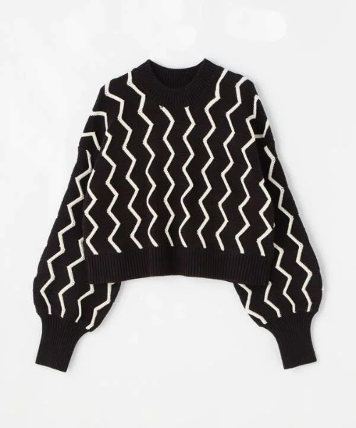 N.（N. Natural Beauty Basic）（エヌエヌナチュラルビューティーベーシック）の「ナミジャガードニット（ニット/セーター・レディース・ホワイト/ブラック・MEDIUM）」の16枚目の写真