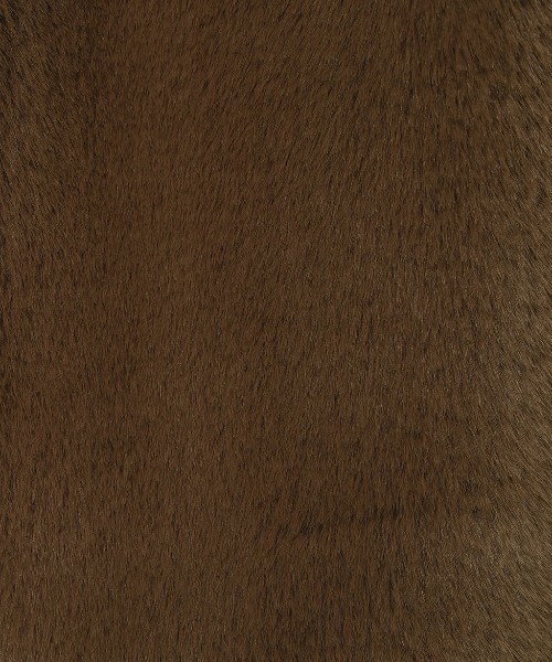 ALEXIA STAM(アリシアスタン)の「Eco Fur Hooded Jacket/エコファーフーディージャケット(その他アウター・レディース・ベージュ/ブラウン・FREE)」の15枚目の写真