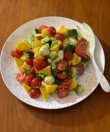 TRADITION ACOUSTIC.（トラディションアコースティック）の「CHAPOTEO Serving Fork（カトラリー）」