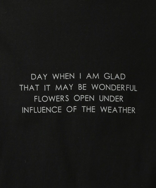 LEPSIM（レプシィム）の「アソートロゴTシャツ　278689（Tシャツ/カットソー・レディース・ブラック/アイボリー/キャメル/オフホワイト・FREE）」の16枚目の写真