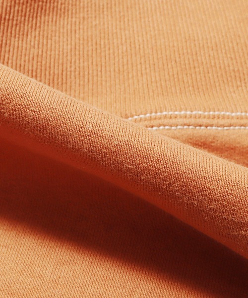 STUSSY(ステューシー)の「STUSSY/ステューシー Double Face Label Zip Hood ジップフーディー パーカー(パーカー・メンズ・レンガ・L/M)」の9枚目の写真