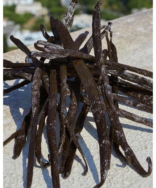 ドルチェ＆ガッバーナ ディヴォーション オードパルファム 50mL（香水