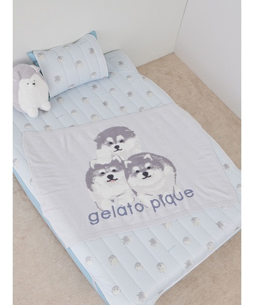 gelato pique Sleep（ジェラートピケスリープ）の「【Sleep】アラスカンマラミュート クッション（クッション/クッションカバー・レディース・ライトグレー・FREE）」の11枚目の写真