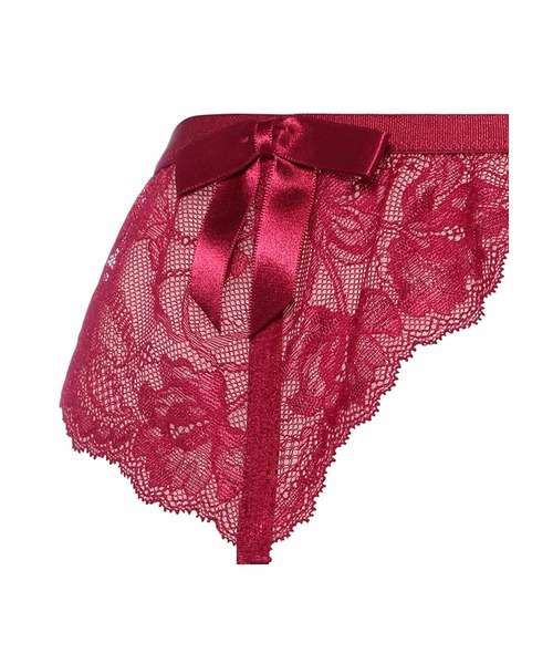 AMOSTYLE BY Triumph（アモスタイルバイトリンプ）の「ガーターベルト スターリーナイトファンタジア AMST1495 S JX（その他アンダーウェア/インナー・レディース・ブルー/グレー/レッド/ピンク・M）」の8枚目の写真