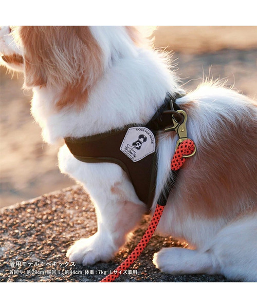 POST GENERAL(ポストジェネラル)の「ドッグスフォーピース / DOGS FOR PEACE トリエント防蚊加工イージーハーネス(リード/ハーネス/首輪・レディース・カーキ/ライトグレー・L)」の12枚目の写真