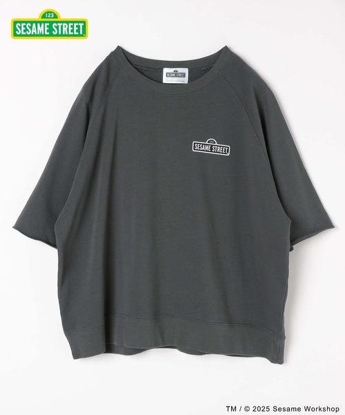 セサミストリート/乾きやすいスウェット/6分袖/583466（Tシャツ