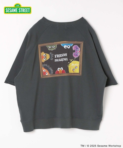 セール】セサミストリート/乾きやすいスウェット/6分袖/583466（T