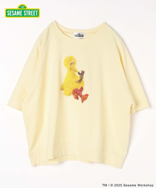 トレーナーズ セット⑥ a768602260a226fb7f75bafeec3a82