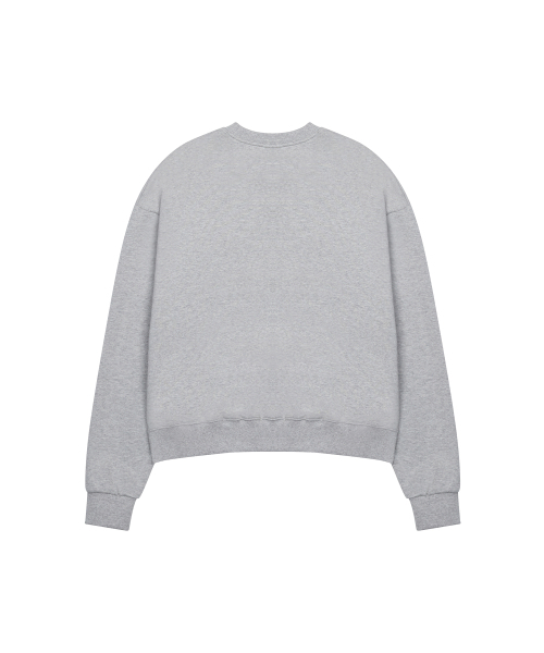 LUVISTRUE（ラヴイズトゥルー）の「GT LVTR PATCH SWEATSHIRT(GRAY)（スウェット・レディース・その他・FREE）」の3枚目の写真