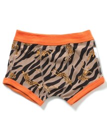 Ampersand(�A���p�T���h)�̓����� �{�N�T�[�p���c(�{�N�T�[�p���c)