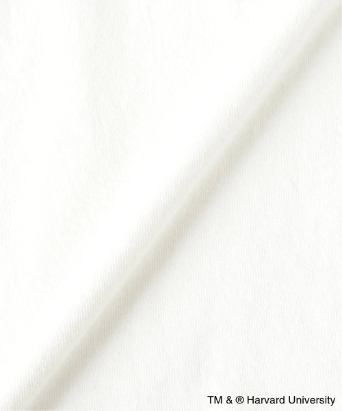 Russell Athletic(ラッセルアスレティック)の「Russell Athletic 別注 カレッジTee(Tシャツ/カットソー・メンズ・ホワイト/ワインレッド/ネイビー・LARGE/MEDIUM)」の6枚目の写真