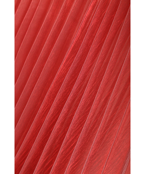 JILL STUART(ジルスチュアート)の「シャンブレーオーガンジープリーツスカート(スカート・レディース・レッド/グレー/イエロー・2/4/0)」の10枚目の写真