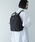 STANDARD SUPPLY�i�X�^���_�[�h�T�v���C�j�́u�yEC���[������z�X�^���_�[�h�T�v���C / SHRINK NYLON �V�������N�i�C���� / WALLABY �����r�[�i�o�b�N�p�b�N/�����b�N�j�v�b�u���b�N