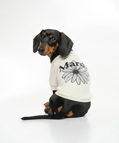 PET SWEATSHIRT FLOWERMARDI / ペット スウェットシャツ フラワー