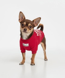 Mardi Mercredi（マルディメクルディ）の「PET SWEATSHIRT FLOWERMARDI  / ペット スウェットシャツ フラワーマルディ（ペットウェア）」