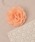 TONE SELECT GOODS�i�g�[���Z���N�g�O�b�Y�j�́u�yfloat�z�t�����[���`�[�t �N���[�v���n �u���[�`/�R�T�[�W���y24�F�W�J/�}���`�E�F�C/�h���X/������/���l��/���Ǝ�/���w��/����/���߁z�i�u���[�`/�R�T�[�W���j�v�b�V���[�x�b�g