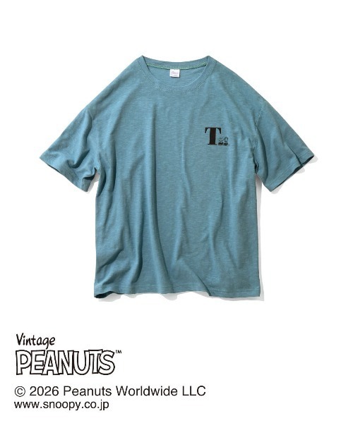 THREE FIFTY STANDARD（スリーフィフティースタンダード）の「ＰＥＡＮＵＴＳ〈スヌーピー＆フレンズ〉　リネンブレンドのプリントＴシャツ（Tシャツ/カットソー・レディース・ピンク系その他/ブルー系その他/ブラウン系その他・M/LL/L）」の3枚目の写真