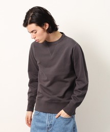 【 Healthknit / ヘルスニット 】トンプキンススウェットクルーネック　3110　SIP