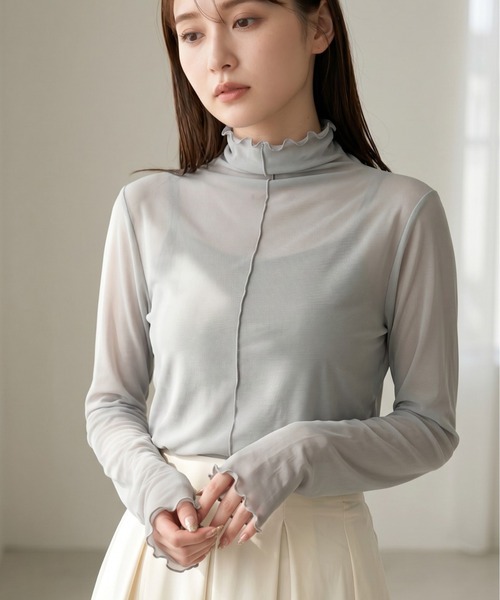 Per sist ence(パーシエンス)の「シアーメローハイネックトップス(Tシャツ/カットソー・レディース・ブラウン/アイボリー/ブラック/グレー・FREE)」の1枚目の写真