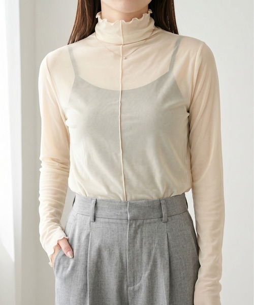 Per sist ence(パーシエンス)の「シアーメローハイネックトップス(Tシャツ/カットソー・レディース・ブラウン/アイボリー/ブラック/グレー・FREE)」の2枚目の写真