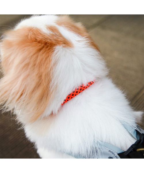 POST GENERAL（ポストジェネラル）の「ドッグスフォーピース / DOGS FOR PEACE クライミングロープカラー（リード/ハーネス/首輪・レディース・ブラック/カーキ/グレー/オレンジ・M）」の8枚目の写真