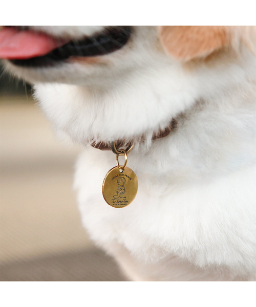 POST GENERAL（ポストジェネラル）の「ドッグスフォーピース / DOGS FOR PEACE クライミングロープカラー（リード/ハーネス/首輪・レディース・ブラック/カーキ/グレー/オレンジ・M）」の10枚目の写真