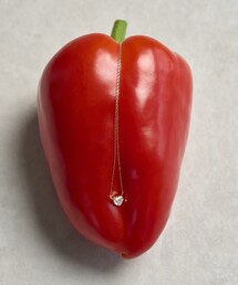 Firsthand | Firsthand/ファーストハンド K10 ハートネックレス(ネックレス)