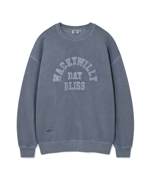 Wacky WiLLy(ワッキーウィリー)の「タイポグラフィックピグメントマンツーマンブルー(スウェット・レディース・その他・SMALL/MEDIUM/LARGE/X-LARGE)」の2枚目の写真