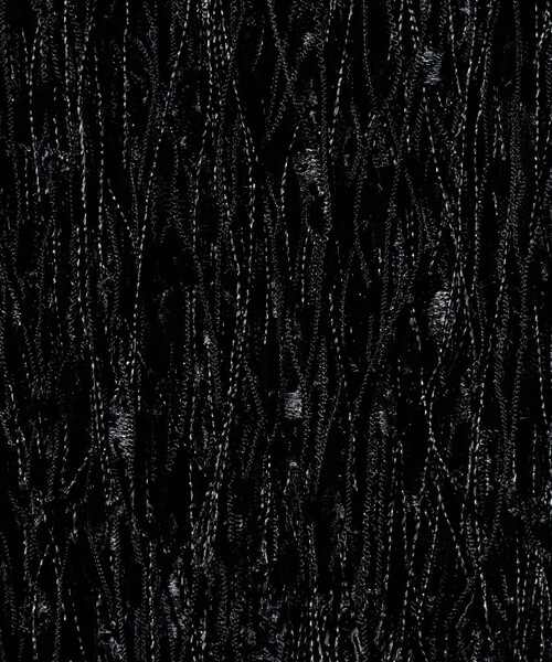 AEWEN MATOPH（イウエン マトフ）の「＜AEWEN MATOPH＞フリンジショートキャミソール（キャミソール・レディース・ブラック・FREE）」の9枚目の写真