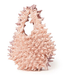 Ray BEAMS | BUNZABURO × Ray BEAMS / 別注 バイカラー BAG(トートバッグ)