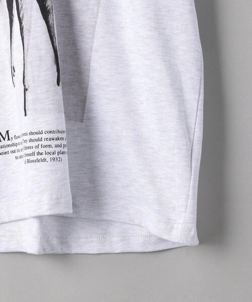 BEAUTY&YOUTH UNITED ARROWS（ビューティーアンドユースユナイテッドアローズ）の「【別注】＜KarlBlossfeldt＞PRINT T2/Tシャツ（Tシャツ/カットソー・メンズ・ライトグレー・MEDIUM/SMALL/X-LARGE/LARGE）」の6枚目の写真