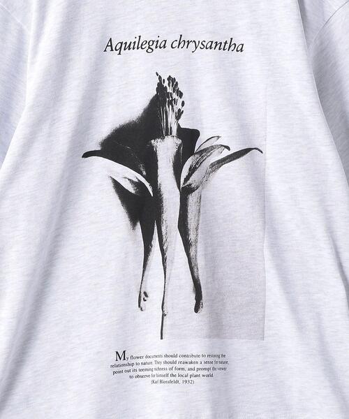 BEAUTY&YOUTH UNITED ARROWS（ビューティーアンドユースユナイテッドアローズ）の「【別注】＜KarlBlossfeldt＞PRINT T2/Tシャツ（Tシャツ/カットソー・メンズ・ライトグレー・MEDIUM/SMALL/X-LARGE/LARGE）」の3枚目の写真