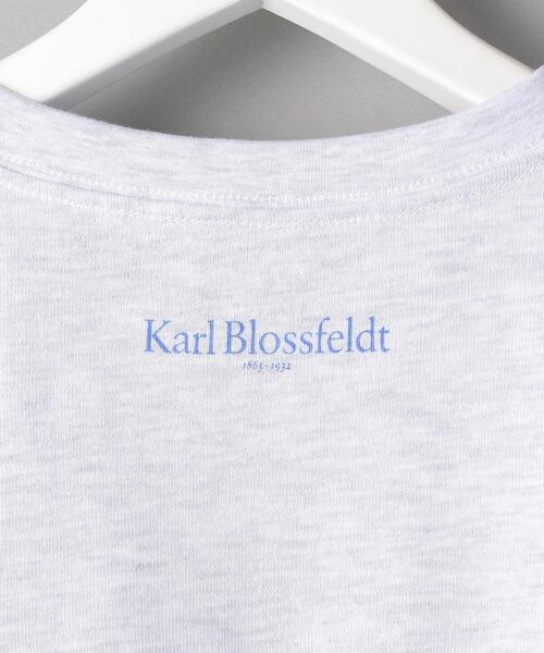 BEAUTY&YOUTH UNITED ARROWS（ビューティーアンドユースユナイテッドアローズ）の「【別注】＜KarlBlossfeldt＞PRINT T2/Tシャツ（Tシャツ/カットソー・メンズ・ライトグレー・MEDIUM/SMALL/X-LARGE/LARGE）」の7枚目の写真