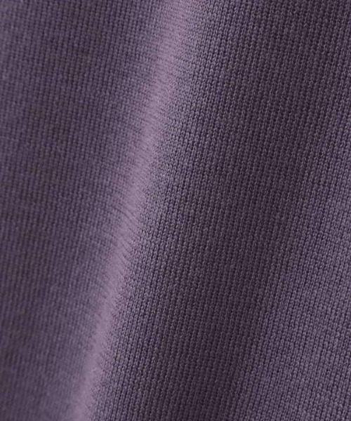 N.（N. Natural Beauty Basic）（エヌエヌナチュラルビューティーベーシック）の「◆ウールベーシックタートルネックニットワンピース（ワンピース・レディース・ブラック/オートミール/パープル・MEDIUM）」の14枚目の写真