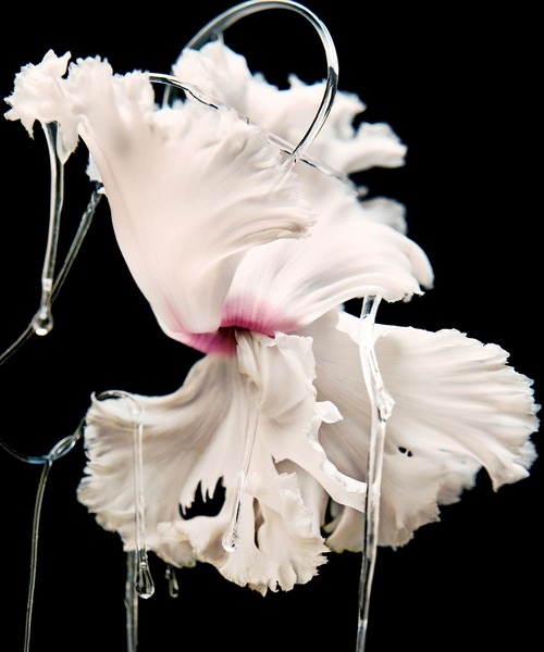 ブランシュ アブソリュ ドゥ パルファン 100ml（香水）｜BYREDO