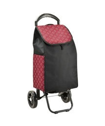 VALENTINO VISCANI ショッピングカート 32L