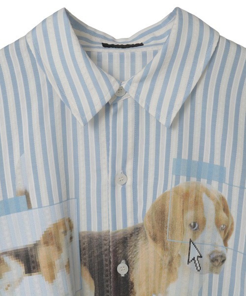 Candy Stripper(キャンディストリッパー)の「DOG PRINT OVER シャツ(シャツ/ブラウス・レディース・ブラック/ライトブルー/グレー・FREE)」の13枚目の写真