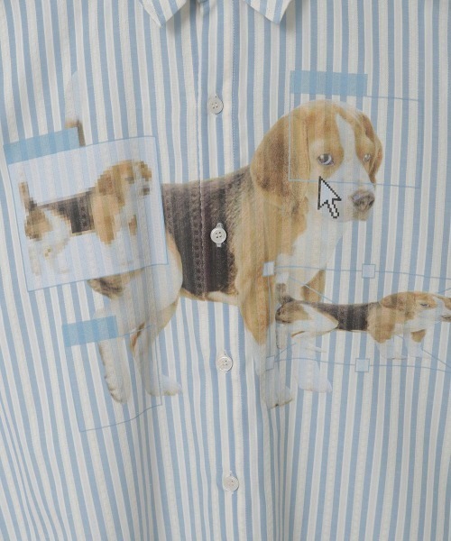 Candy Stripper(キャンディストリッパー)の「DOG PRINT OVER シャツ(シャツ/ブラウス・レディース・ブラック/ライトブルー/グレー・FREE)」の17枚目の写真