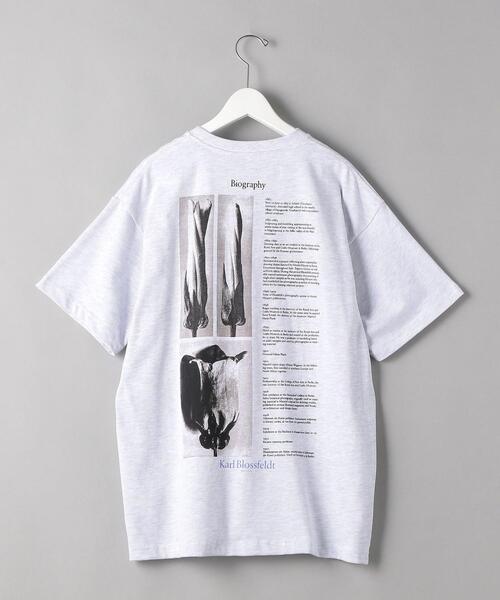 BEAUTY&YOUTH UNITED ARROWS（ビューティーアンドユースユナイテッドアローズ）の「【別注】＜KarlBlossfeldt＞PRINT T1/Tシャツ（Tシャツ/カットソー・メンズ・ライトグレー・X-LARGE/SMALL/LARGE/MEDIUM）」の9枚目の写真