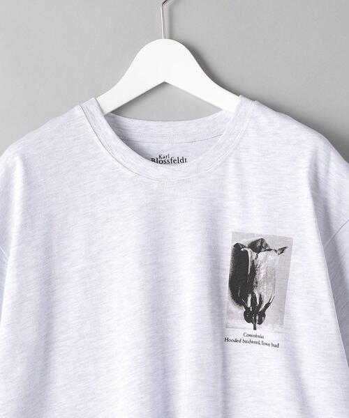 BEAUTY&YOUTH UNITED ARROWS（ビューティーアンドユースユナイテッドアローズ）の「【別注】＜KarlBlossfeldt＞PRINT T1/Tシャツ（Tシャツ/カットソー・メンズ・ライトグレー・X-LARGE/SMALL/LARGE/MEDIUM）」の6枚目の写真