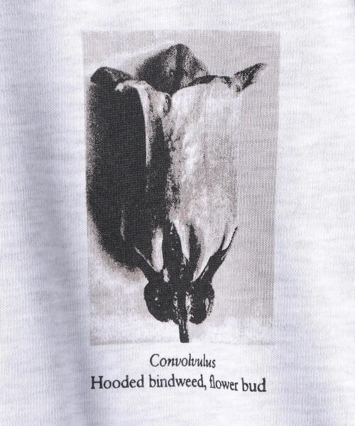 BEAUTY&YOUTH UNITED ARROWS（ビューティーアンドユースユナイテッドアローズ）の「【別注】＜KarlBlossfeldt＞PRINT T1/Tシャツ（Tシャツ/カットソー・メンズ・ライトグレー・X-LARGE/SMALL/LARGE/MEDIUM）」の4枚目の写真