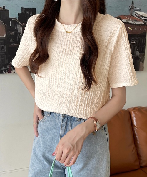 Chaco closet(チャコ クローゼット)の「ぽこぽこジャガード半袖Tシャツ(Tシャツ/カットソー・レディース・ブラック/サックスブルー/ホワイト/ベージュ・FREE)」の1枚目の写真