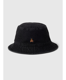 GAP(Mbv)̃fj oPbgnbg (c)(nbg)