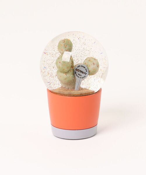 PLANTS WATER GLOBE/スノードーム（インテリア雑貨）｜DULTON